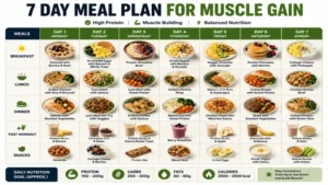 Weekly menu overview of 7 day meal plan for muscle gain
