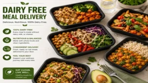 Dairy free meal delivery with colorful healthy meals featuring vegetables, grains, and plant-based proteins